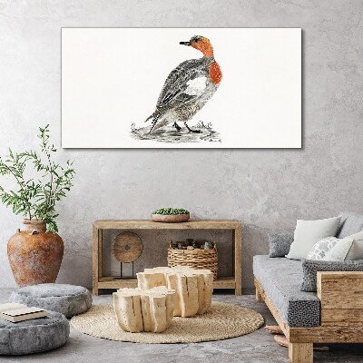 Obraz Canvas Rysunek Zwierzę Ptak Kaczka