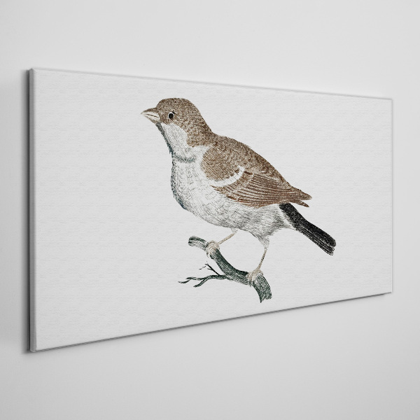 Obraz Canvas Słowik na gałęzi