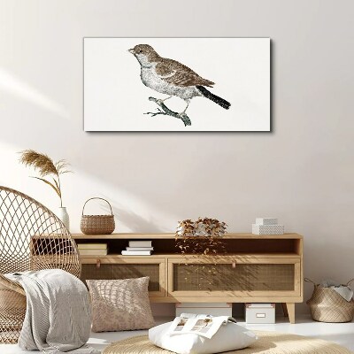 Obraz Canvas Rysunek zwierzę ptak gałąź