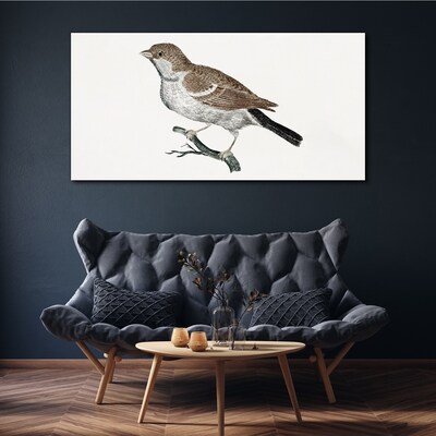 Obraz Canvas Słowik na gałęzi