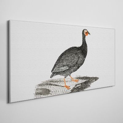 Obraz Canvas Czarny ptak na tle białym