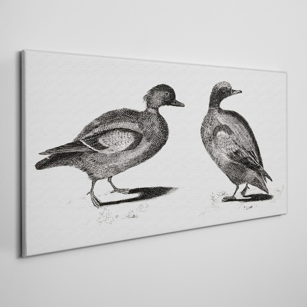 Obraz Canvas Dwie kaczki w monochromatycznym stylu