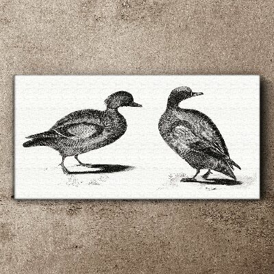 Obraz Canvas Dwie kaczki w monochromatycznym stylu