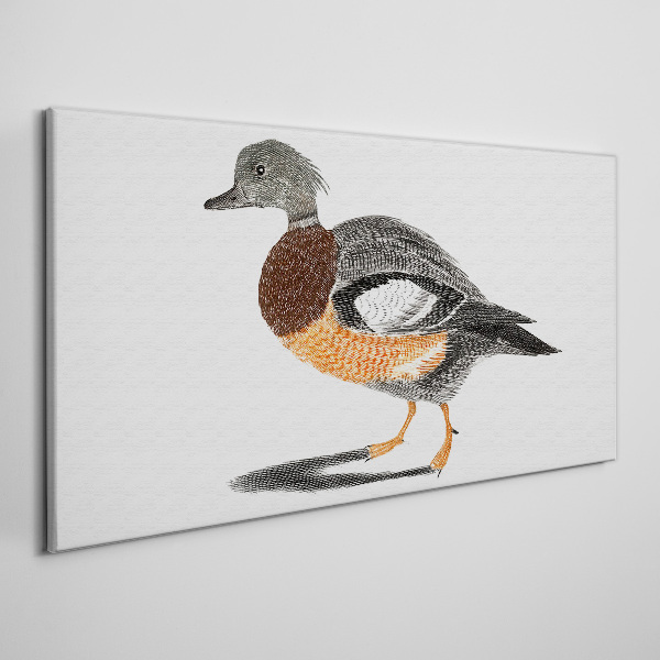 Obraz Canvas Kaczka w stylu graficznym