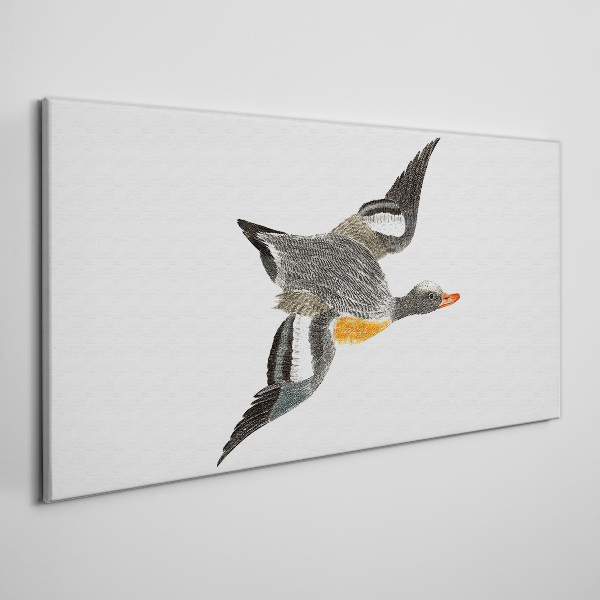 Obraz Canvas Latająca gęś w kolorach natury