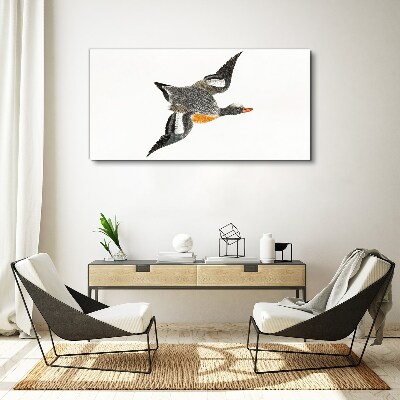 Obraz Canvas Latająca gęś w kolorach natury