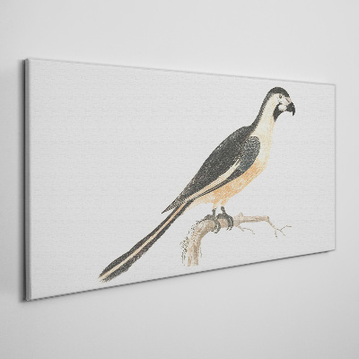 Obraz Canvas Ptak na gałęzi