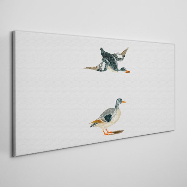 Obraz Canvas Ptaki wodne w locie i na ziemi