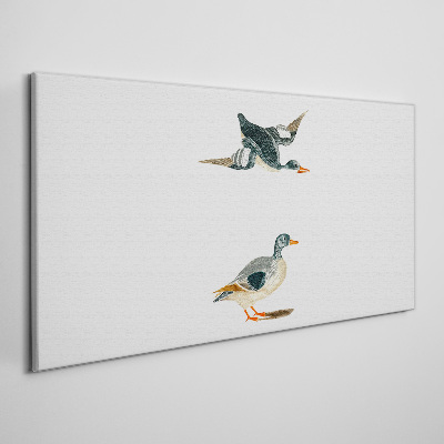 Obraz Canvas Ptaki wodne w locie i na ziemi