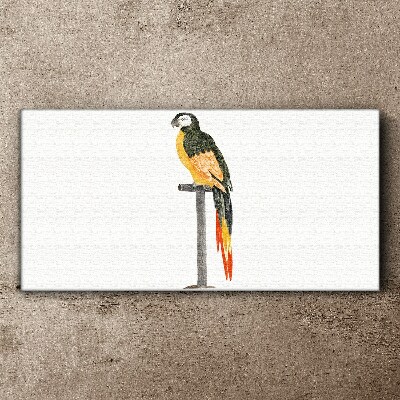 Obraz na Płótnie Rysunek Zwierzę Ptak Papuga
