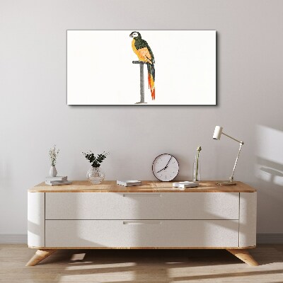 Obraz na Płótnie Rysunek Zwierzę Ptak Papuga