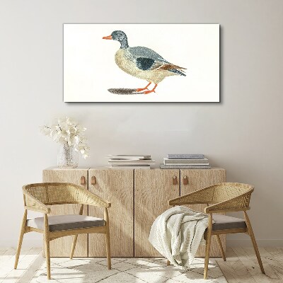 Obraz Canvas Kaczka w pastelowych odcieniach