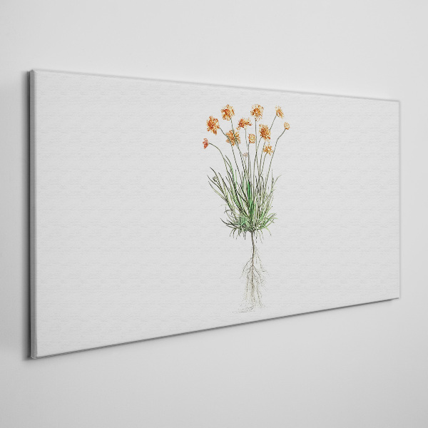 Obraz Canvas Kwiaty z korzeniami