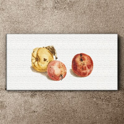 Obraz Canvas Owoce w pastelowych odcieniach