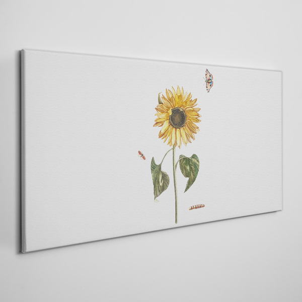 Obraz Canvas Słonecznik w delikatnej kompozycji