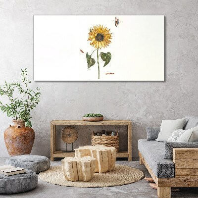 Obraz Canvas Słonecznik w delikatnej kompozycji