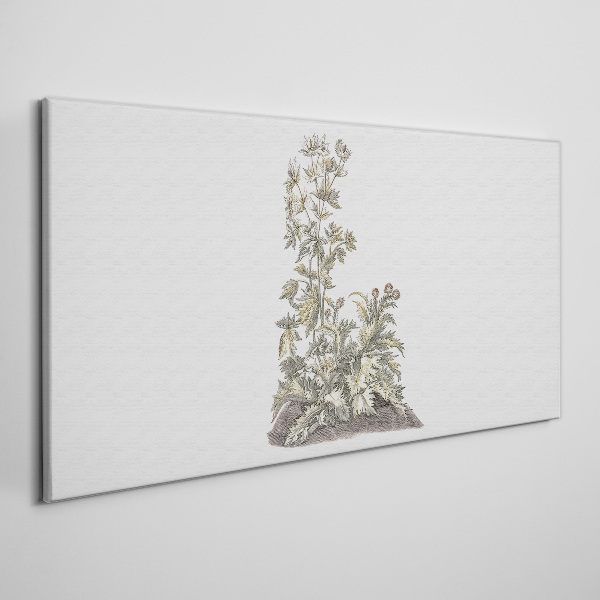 Obraz Canvas Rośliny w delikatnym świetle