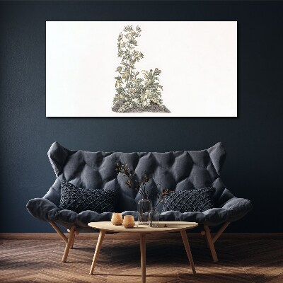 Obraz Canvas Rośliny w delikatnym świetle