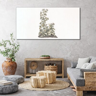 Obraz Canvas Rośliny w delikatnym świetle