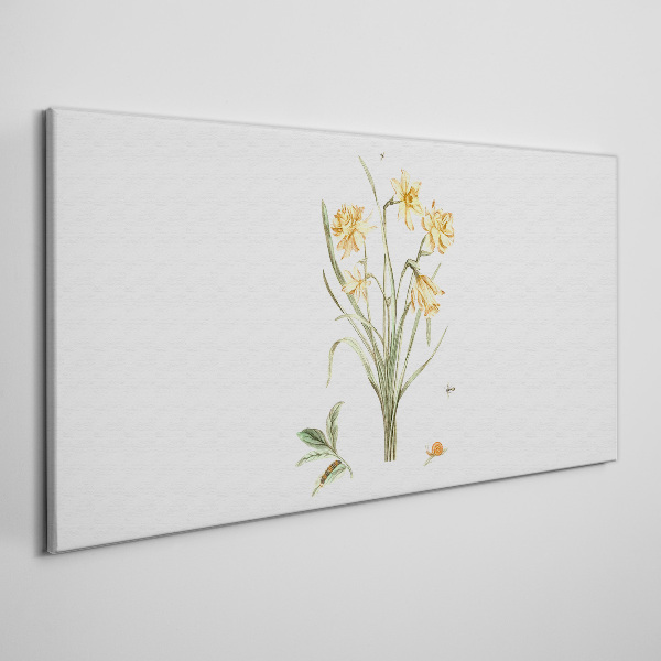 Obraz Canvas Kwiaty żonkili z motywem przyrody