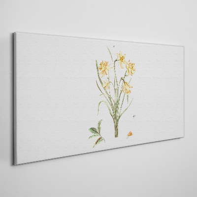 Obraz Canvas Kwiaty żonkili z motywem przyrody