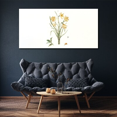 Obraz Canvas Kwiaty żonkili z motywem przyrody