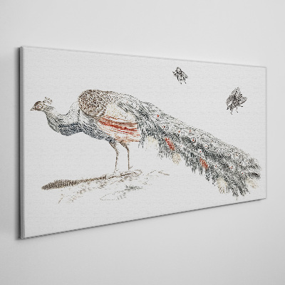 Obraz Canvas Paw z muchami