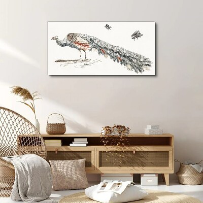 Obraz Canvas Zwierzę Ptak Paw Muchy