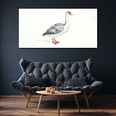 Obraz Canvas Zwierzę Ptak Gęś