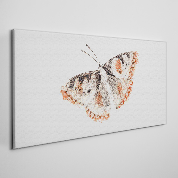 Obraz Canvas Motyl na białym tle