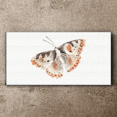 Obraz Canvas Motyl na białym tle