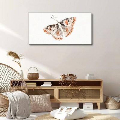Obraz Canvas Motyl na białym tle