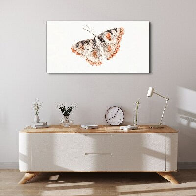 Obraz Canvas Motyl na białym tle