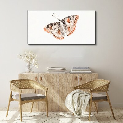 Obraz Canvas Motyl na białym tle