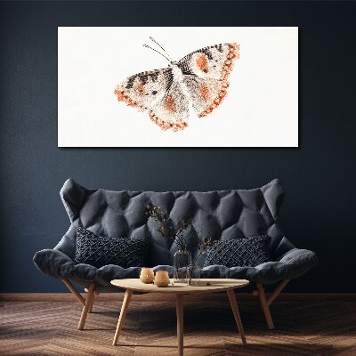 Obraz Canvas Bug Owad Motyl