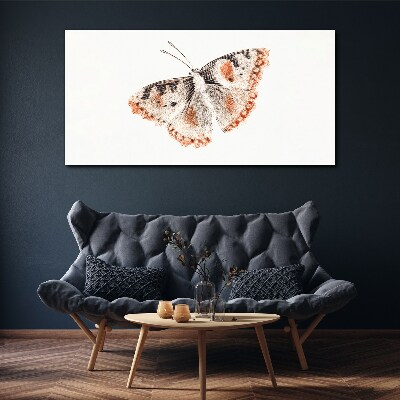 Obraz Canvas Motyl na białym tle
