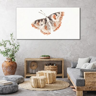 Obraz Canvas Motyl na białym tle