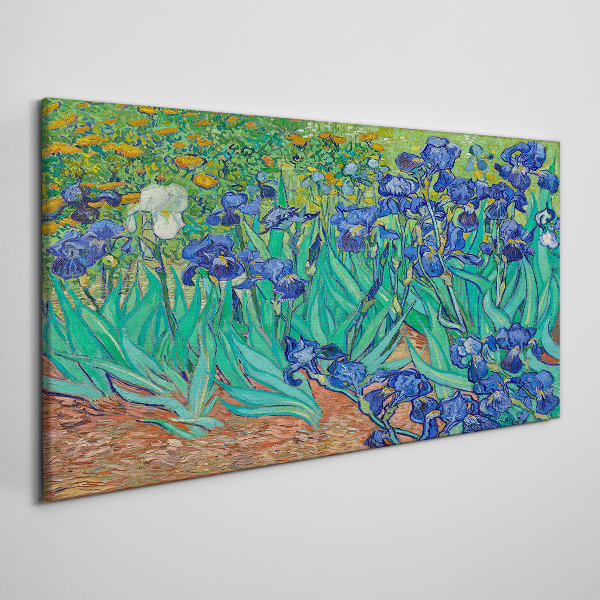 Obraz na Płótnie Irises in Bloom