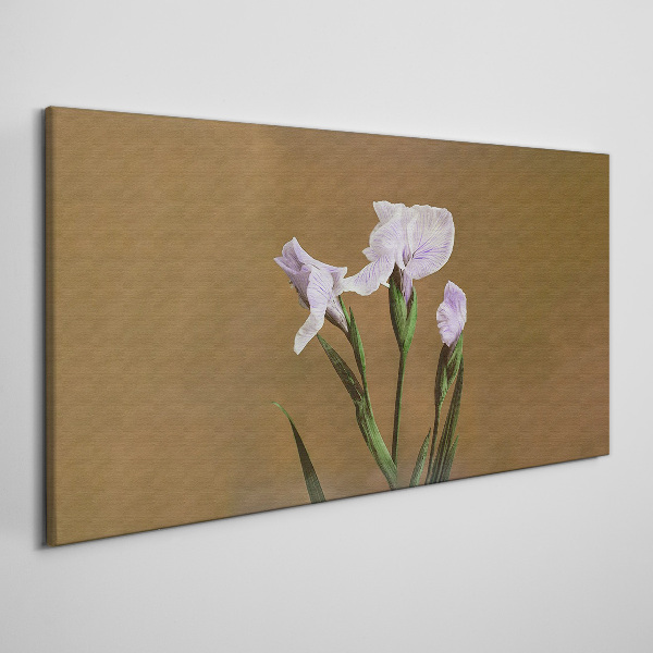 Obraz Canvas Kwiaty irysów na tle brązowym