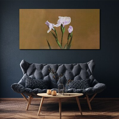 Obraz Canvas Kwiaty irysów na tle brązowym