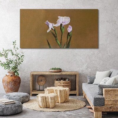 Obraz Canvas Kwiaty irysów na tle brązowym