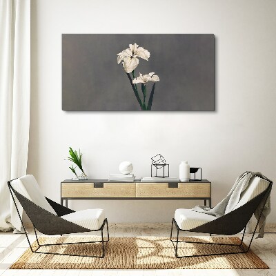 Obraz Canvas Białe irysy na szarym tle