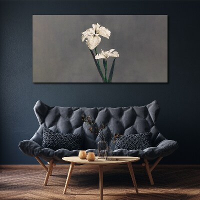 Obraz Canvas Białe irysy na szarym tle
