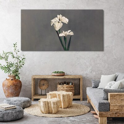 Obraz Canvas Białe irysy na szarym tle