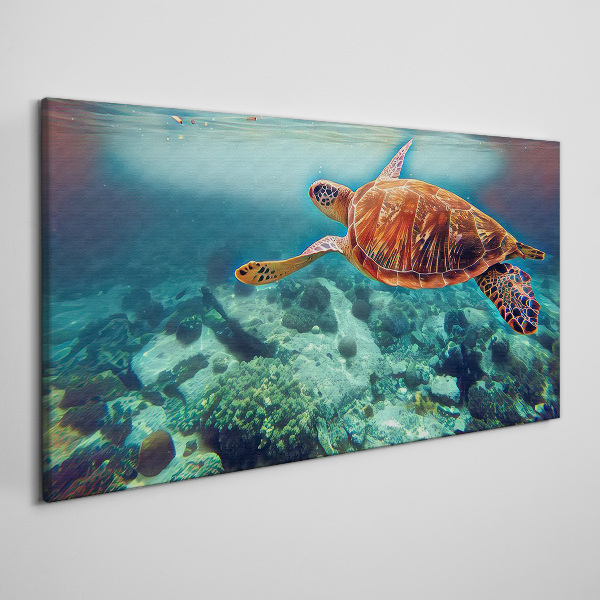 Obraz na Płótnie „Turtle in Tranquil Waters”
