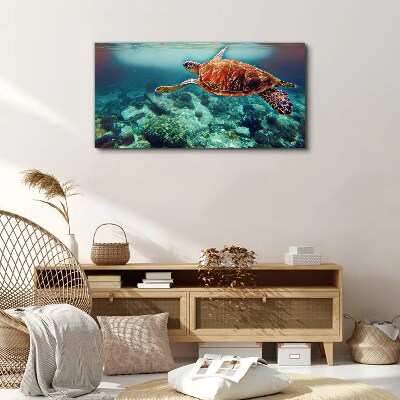 Obraz na Płótnie „Turtle in Tranquil Waters”