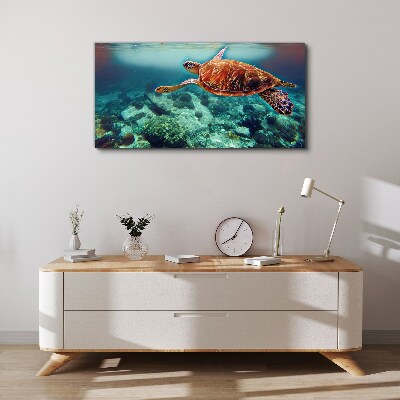 Obraz na Płótnie „Turtle in Tranquil Waters”