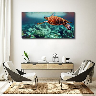 Obraz na Płótnie „Turtle in Tranquil Waters”