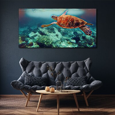 Obraz na Płótnie „Turtle in Tranquil Waters”