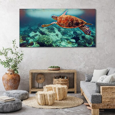 Obraz na Płótnie „Turtle in Tranquil Waters”